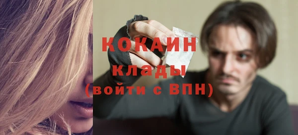 ГАЛЛЮЦИНОГЕННЫЕ ГРИБЫ Инта