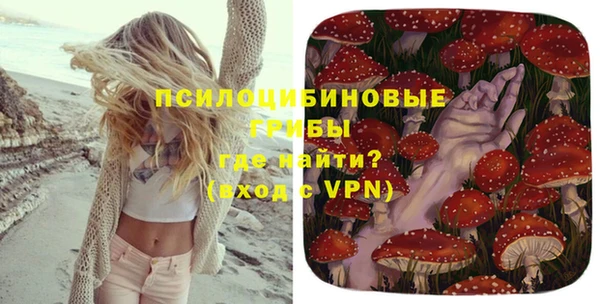 метамфетамин Каменка